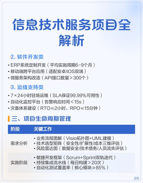 信息技術服務項目全解析